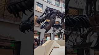 Incredible Dinosaurs fossils model [upl. by Nolyar290]