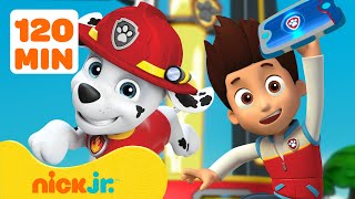 Marshall and Skye Rescue Knights Episodes and More 🏰 PAW Patrol  Cartoons for Kids [upl. by Rey]