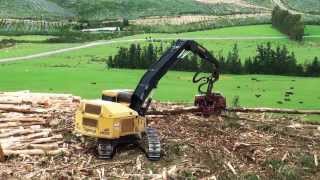 Tigercat Harvester H855C with Waratah Harvesting Head [upl. by Vladamar959]