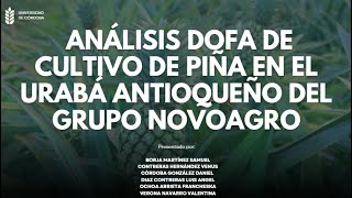 ANALISIS FODA EMPRESA NOVOAGRO  CURSO GERENCIA AGRARIA [upl. by Adihaj720]