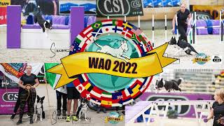 MAY2022 – World Agility Open WAO – Nadine Alshut amp Cinna [upl. by Mellins]