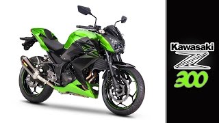 Kawasaki Z300 Review en Español [upl. by Supen]