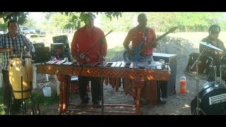 LA DEL MOÑO COLORADO  MARIMBA HNS CASTILLOS [upl. by Atikcir287]