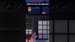 Loop Sampling NI Maschine Tutorial maschineplus maschinemk3 nimaschine beatmaking [upl. by Nylirehc448]