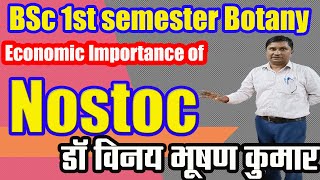 Nostoc।Economic Importance of Nostoc। Systematic position of Nostoc। Nostoc। GURUHUB [upl. by Jermayne]