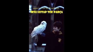 Harry Potter ve Felsefe Taşı  Tek Parça  En İyi Sesli Kitap [upl. by Floyd593]