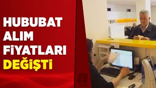 TMO hububat alım fiyatları güncellendi  A Haber [upl. by Inittirb]