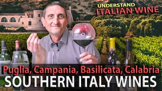 Red Wines of Southern Italy Sicily amp Sardinia  Explained [upl. by Novahs429]