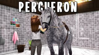 Buying the new Percheron horses in Star Stable Online [upl. by Robertson]