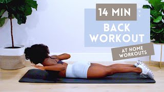 14 MINUTE BACK WORKOUT FOR STRONGER BACK  BETTER POSTURE  NO EQUIPMENT  BEGINNER  INTERMEDIATE [upl. by Hebner]