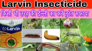 larvin Insecticide  larvin kitnashak  bayer larvin Insecticide  thiodicarb 75 wp uses  larvin [upl. by Ney80]