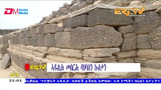 ERiTV ኣዱሊስ፡ መስርሕ ዳህሳስን ኩዕታን  Adulis Archaeological excavation [upl. by Dyolf519]