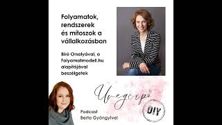 Folyamatok rendszerek és mítoszok a vállalkozásban  Bíró Orsolyával a folyamatmodellhu vezető [upl. by Aseeral]