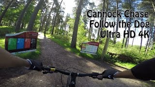 4K Cannock Chase  Follow the Dog  Full Trail [upl. by Llennoj]