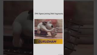 DNA Ligase shortsfeed gurudham comedy entertainment memes shorts [upl. by Elda]