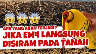 APA YANG AKAN TERJADI JIKA EM4 DISIRAMKAN PADA TANAH  Subur Gembur amp Sehat  Pupuk Organik [upl. by Rosemary]