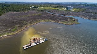 Collaborative Living Shoreline Research at the Coastal Studies Institute [upl. by Euqinomod]