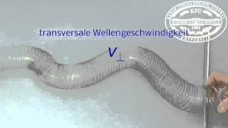 Physik Longitudinale und transversale Wellen [upl. by Averat]