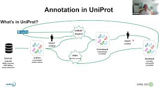 Curating proteins involved in Antimicrobial Resistance AMR in UniProt [upl. by Nocaj]