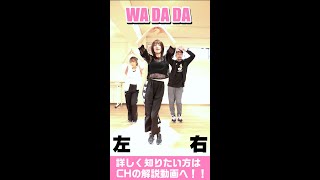 【 WADADA 】サクッと覚えたい人向け Kep1er ”WADADA” 反転バージョン [upl. by Elin40]