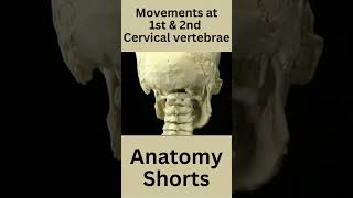 Atlanto occipital joint amp Atlanto axial joint anatomy mbbs neet osteology bds bpt shorts [upl. by Ahsok]