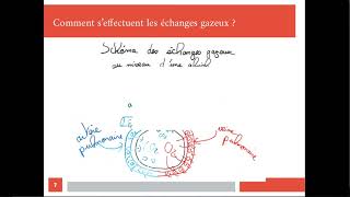 Le fonctionnement de lappareil respiratoire [upl. by Ivzt]