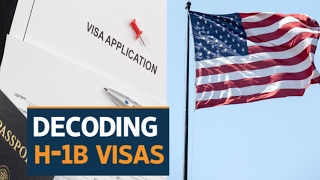 Five charts that can help understand the H1B visa debate [upl. by Akimit553]