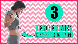 ❣️ TERCER MES de EMBARAZO como esta el BEBE 🤰 Qué se SIENTE en el vientre a los 3 meses de embarazo [upl. by Tati]