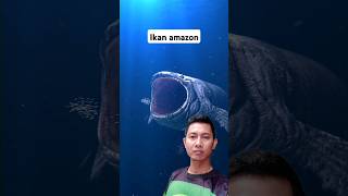 Hantu ikan hiu di Indonesia🐋🐬🦈ikanhiu ikanpaus videolucu videoreaction ngakak short viral [upl. by Orazio591]