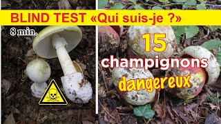 BLIND TEST Cueillette Attention Danger  15 champignons toxiques à ne surtout pas confondre  🍄🍂 [upl. by Orton]