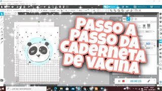 COMO FAZER CADERNETA DE VACINA  PARTE 1 [upl. by Merwin]