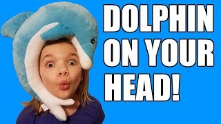 Dolphin On Your Head  Babyteeth More [upl. by Iturk]