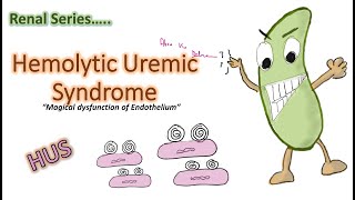 Hemolytic Uremic Syndrome  HUS  children TTP  causes  clinical f management etc Renal ch4 [upl. by Faxan]