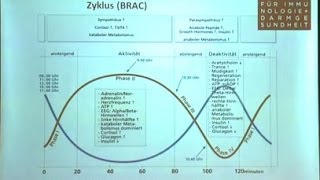 Vitamin D  Darmgesundheit und nicht nur zur Knochengesundheit  mit Antje Rössler [upl. by Ronnie]