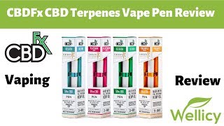 CBDFx CBD Terpenes Vape Pen Review  Disposable CBD Vape Pen  4 Flavors [upl. by Takara]