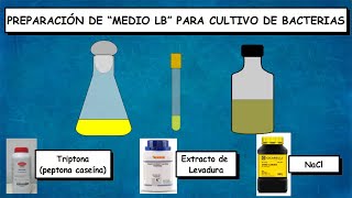 Preparación de medio de cultivo LB para cultivo de bacterias [upl. by Ehrenberg494]