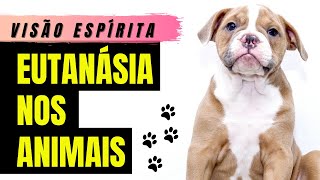 A Eutanásia nos Animais Segundo o Espiritismo [upl. by Romy]