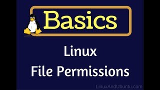 linux file permissions explained  how to change file permission in linux  linux file permissions [upl. by Aihtenak]