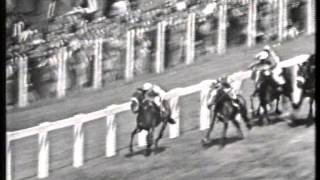 1960 King George VI and Queen Elizabeth Stakes [upl. by Clovah513]