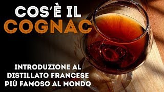 Cosè il COGNAC  Introduzione al distillato francese più famoso [upl. by Adneral]