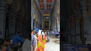 Panjavadi Anjaneyar kovil puratasi matham tharisanam [upl. by Cavanaugh340]