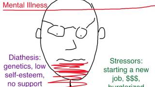 PTSD Diathesis Stress Model [upl. by Anneres546]