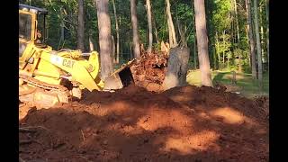 The grader man pushing over 24quot oak stumps like theyre twigs porschegarage polebarn pavilion [upl. by Bertero]