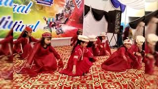 Kary Kary Shina song Performance  Multicontent Vedios [upl. by Ranilopa]