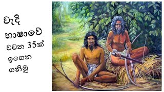 වැදි බස Wadi Basawa ආදිවාසි බස් General Knowledge Sinhala Wadi wahara [upl. by Atrice]