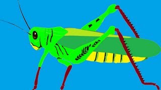 Sonido del saltamontes  Sound of the Grasshopper [upl. by Lodmilla784]