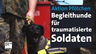 Hilfsaktion Assistenzhund macht traumatisierten Soldaten das Leben leichter  Abendschau  BR24 [upl. by Lenuahs]