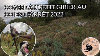 CHASSE au PETIT GIBIER SAISON 20222023  Perdreaux Faisans Lapin Lièvre au CHIEN DARRÊT 🐕 💥 [upl. by Uke]