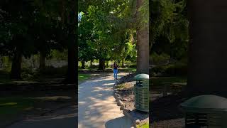 Albury Wodonga Botanic Gardens Australia australia viralvideo nature trending fyp shorts fypシ [upl. by Nylatsirhc68]