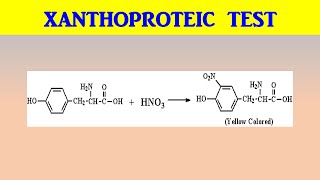 XANTHOPROTEIC TEST [upl. by Aikahs]